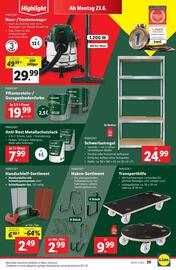 Lidl Flugblatt woche 25 Seite 34