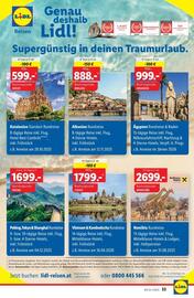 Lidl Flugblatt woche 25 Seite 38