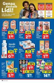 Lidl Flugblatt woche 25 Seite 41