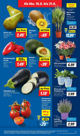 Lidl Prospekt woche 25 Seite 5