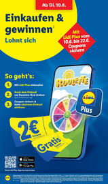 Lidl Prospekt woche 25 Seite 60