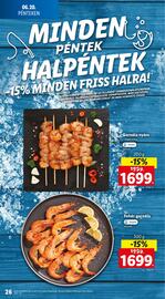 Lidl akciós újság hét 25 Oldal 26
