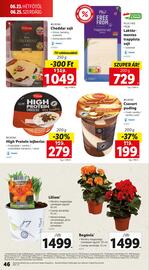 Lidl akciós újság hét 25 Oldal 46