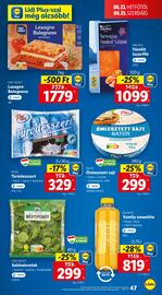 Lidl akciós újság hét 25 Oldal 47