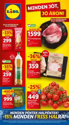 Lidl akciós újság