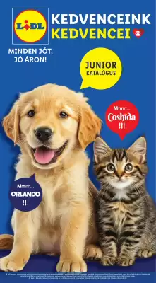 Lidl akciós újság (érvényes eddig: 9-07)