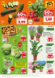 Kaufland gazetka Strona 13