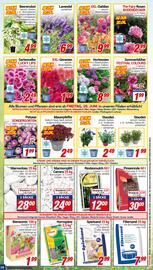 CENTERSHOP Prospekt woche 25 Seite 10