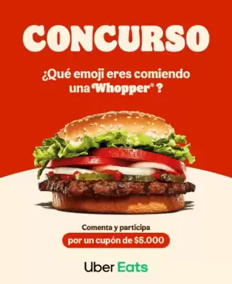 Catálogo Burger King (válido hasta 19-06)