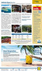 Lidl Flugblatt Seite 3