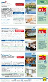 Lidl Flugblatt Seite 7