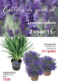 Deka Tuin folder Pagina 7