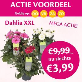 TuinWereld folder week 24 Pagina 1