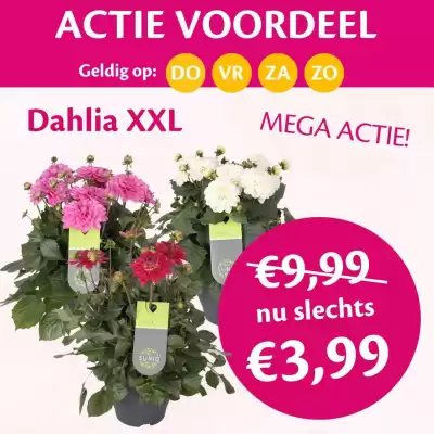 TuinWereld folder (geldig t/m 20-06)