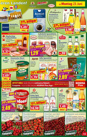 Norma Prospekt woche 26 Seite 14