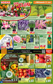 Norma Prospekt woche 26 Seite 15