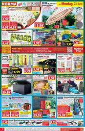 Norma Prospekt woche 26 Seite 3