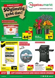 Hagebau Prospekt woche 24 Seite 1