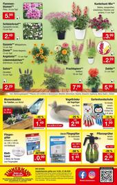 Zimmermann Prospekt woche 25 Seite 10