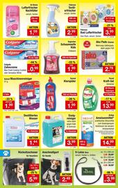 Zimmermann Prospekt woche 25 Seite 4