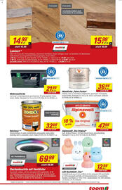 toom Baumarkt Prospekt woche 25 Seite 13
