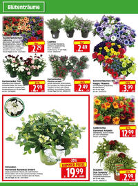 Edeka Herkules Prospekt woche 25 Seite 2
