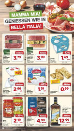 Famila Nord West Prospekt woche 25 Seite 17