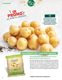 Louis Delhaize folder Pagina 8