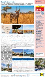 Lidl Reisen Flugblatt Seite 19