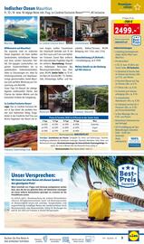 Lidl Reisen Flugblatt Seite 3