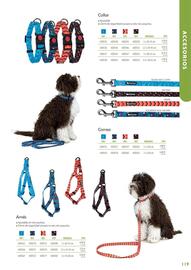 Folleto Setter Bakio Página 119