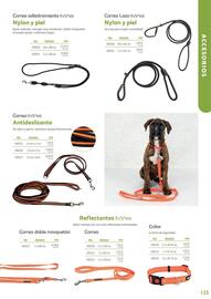 Folleto Setter Bakio Página 123