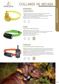 Folleto Setter Bakio Página 185