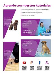 Folleto Setter Bakio Página 194