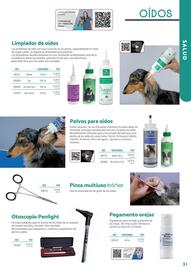 Folleto Setter Bakio Página 31
