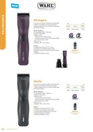 Folleto Setter Bakio Página 40