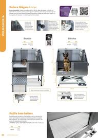 Folleto Setter Bakio Página 80