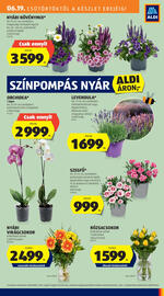 ALDI akciós újság hét 25 Oldal 27