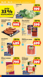 ALDI akciós újság hét 25 Oldal 46
