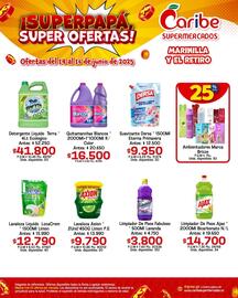 Catálogo Caribe Supermercados Página 9