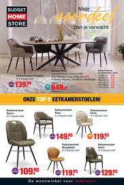 Budget Home Store folder Pagina 1
