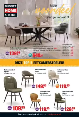 Budget Home Store folder (geldig t/m 20-07)