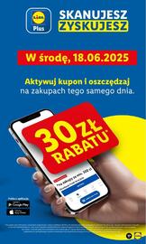 Lidl gazetka Strona 17