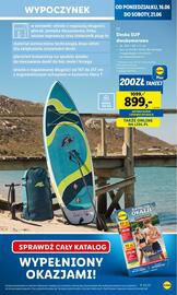 Lidl gazetka Strona 21