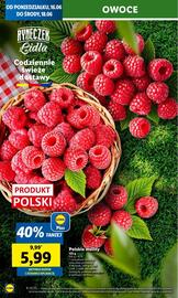 Lidl gazetka Strona 22