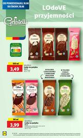 Lidl gazetka Strona 42