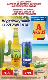 Lidl gazetka Strona 51