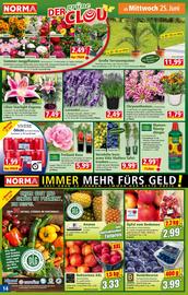 Norma Flugblatt woche 26 Seite 14