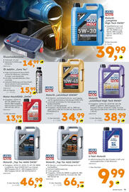 Globus Baumarkt Prospekt woche 25 Seite 19