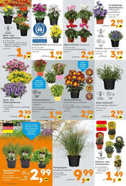 Globus Baumarkt Prospekt woche 25 Seite 2